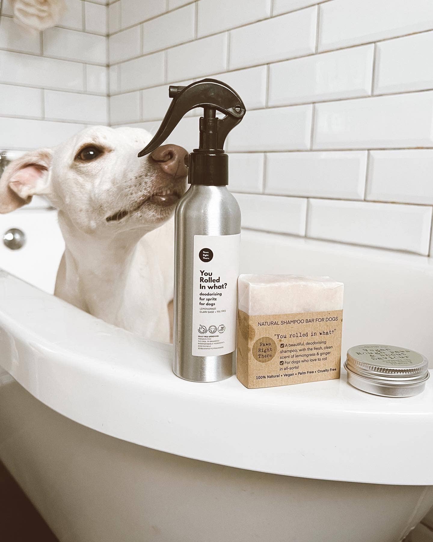You Rolled In What?! Deodorising Fur Spritz - Lemon Verbena