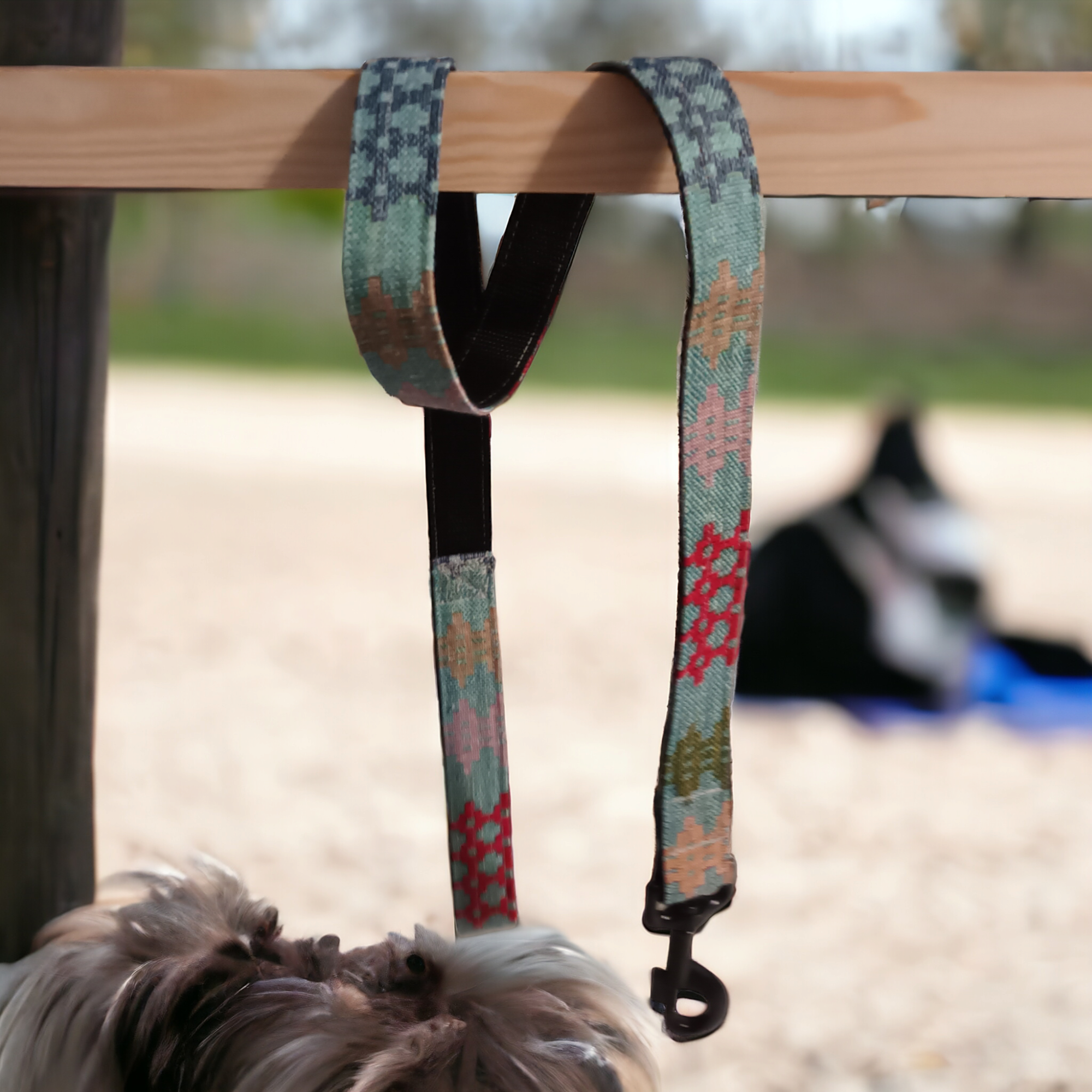 Dog leads / Leash: Teal green multi coloured