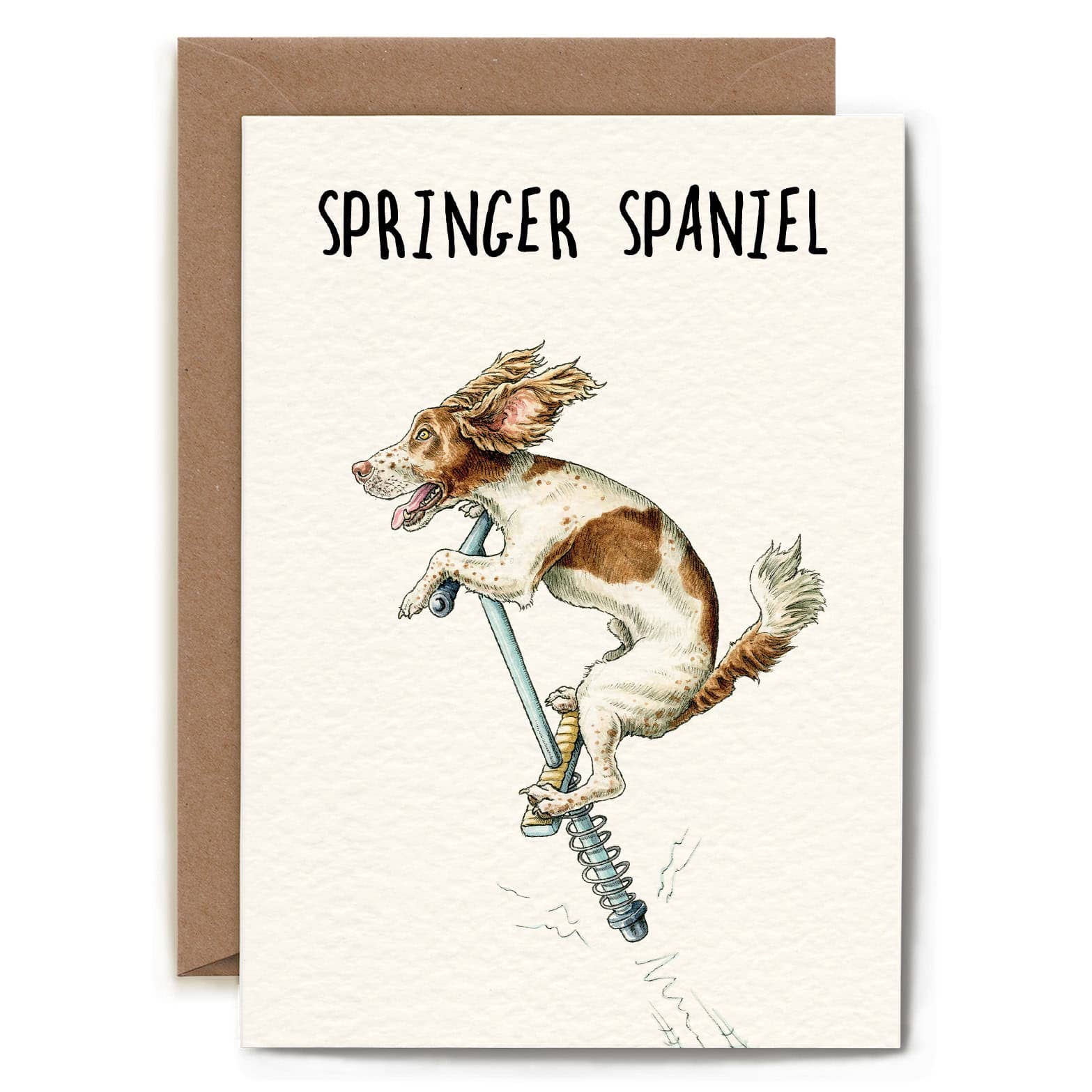 Springer Spaniel Card - Everyday Card - Funny