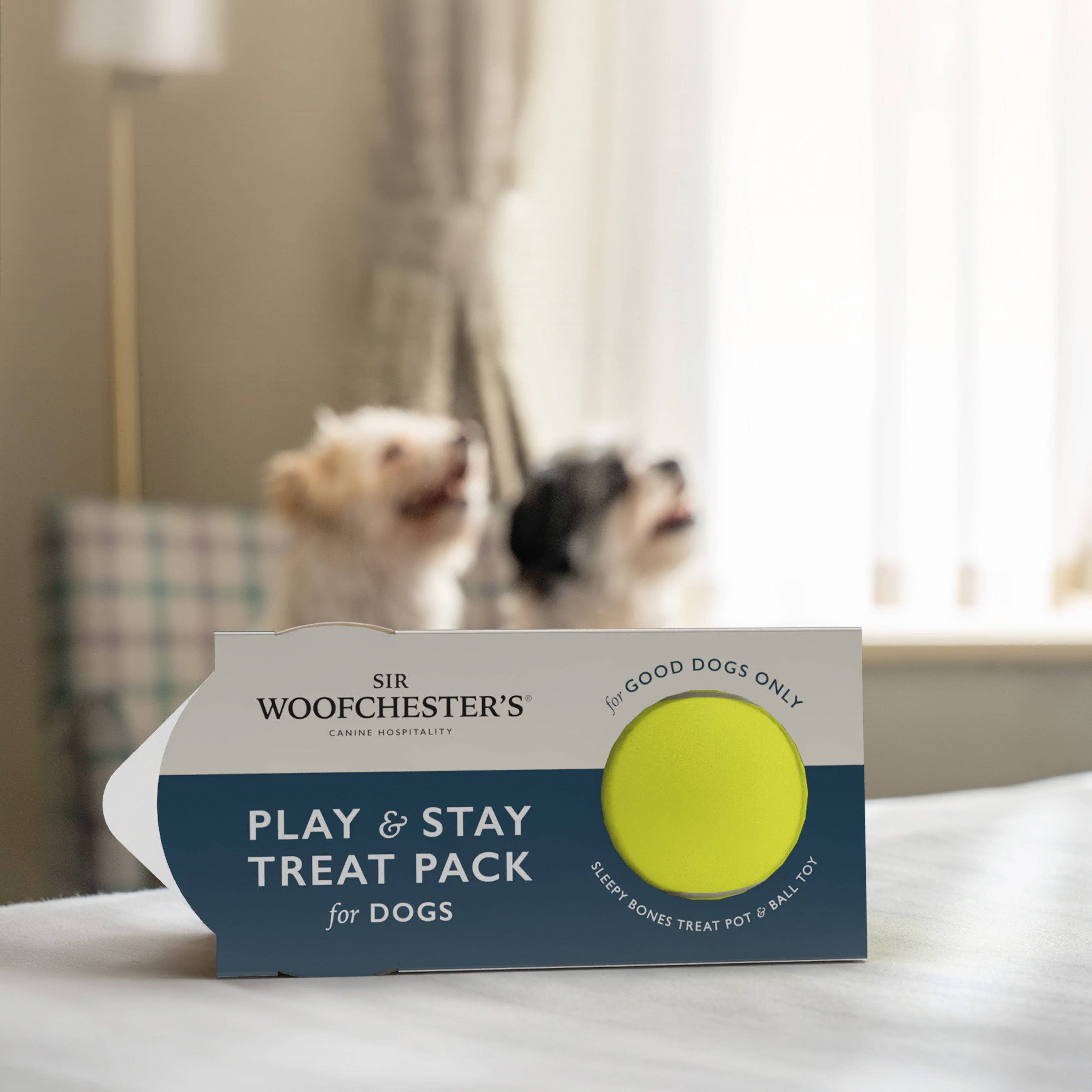 Play & Stay Treat Pack for Dogs - Case of 6