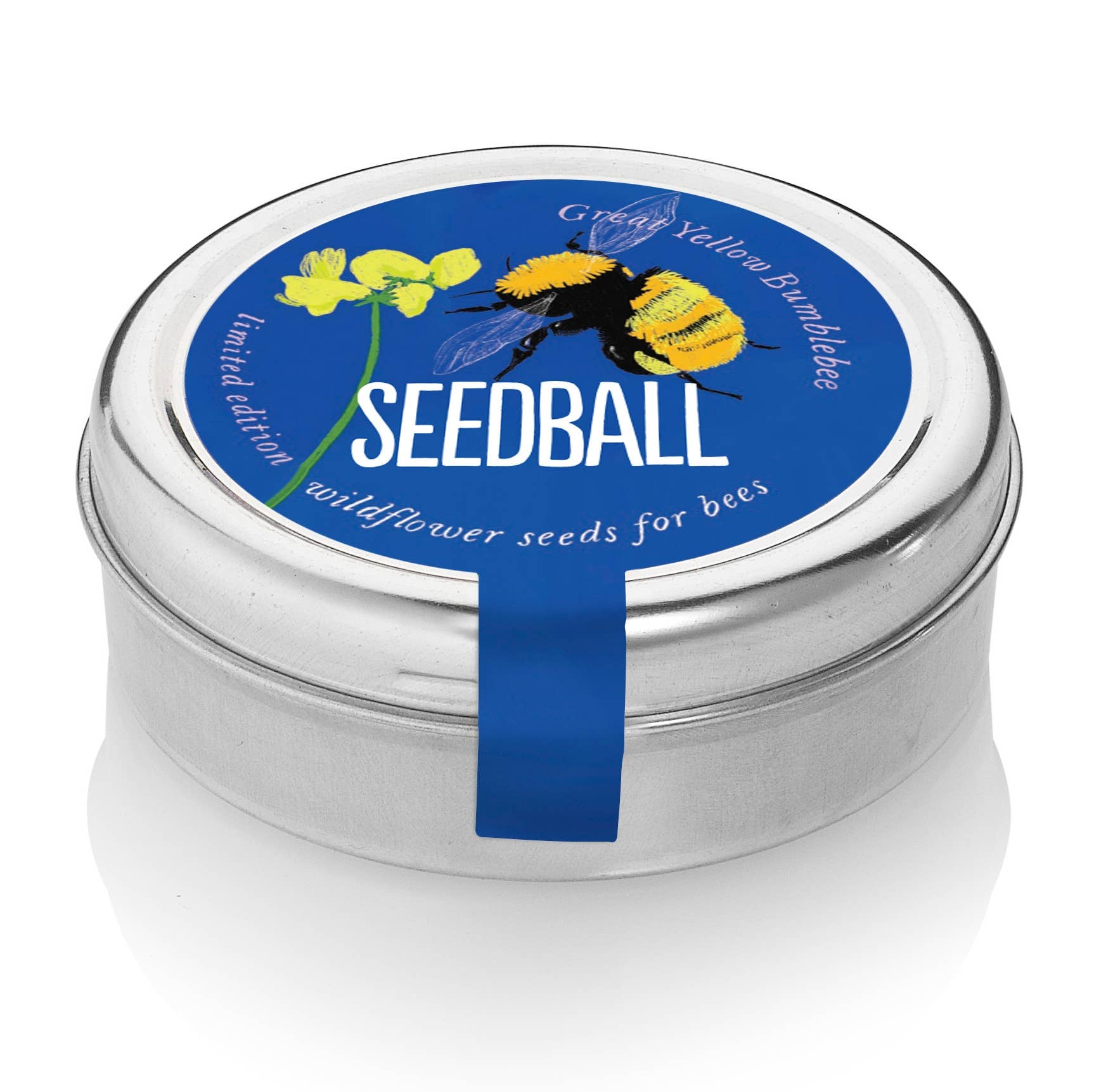 Bumblebee Seedball Wildflower Tins - Blue