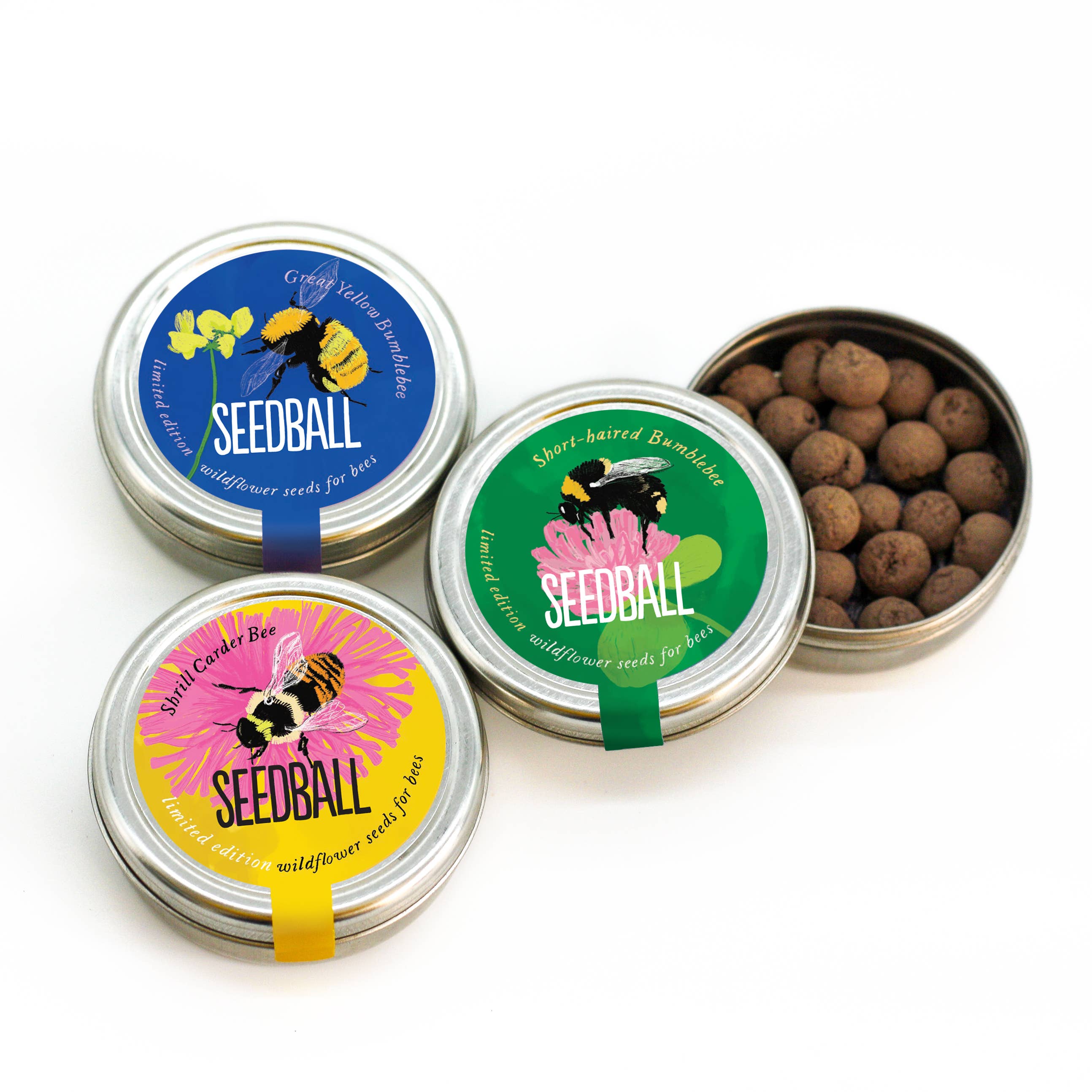 Bumblebee Seedball Wildflower Tins - Blue